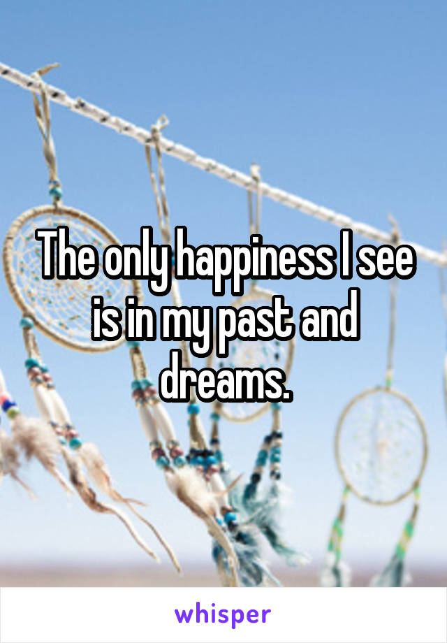 The only happiness I see is in my past and dreams.