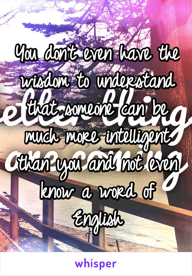 You don't even have the wisdom to understand that someone can be much more intelligent than you and not even know a word of English