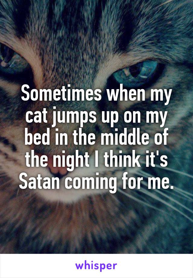 Sometimes when my cat jumps up on my bed in the middle of the night I think it's Satan coming for me.