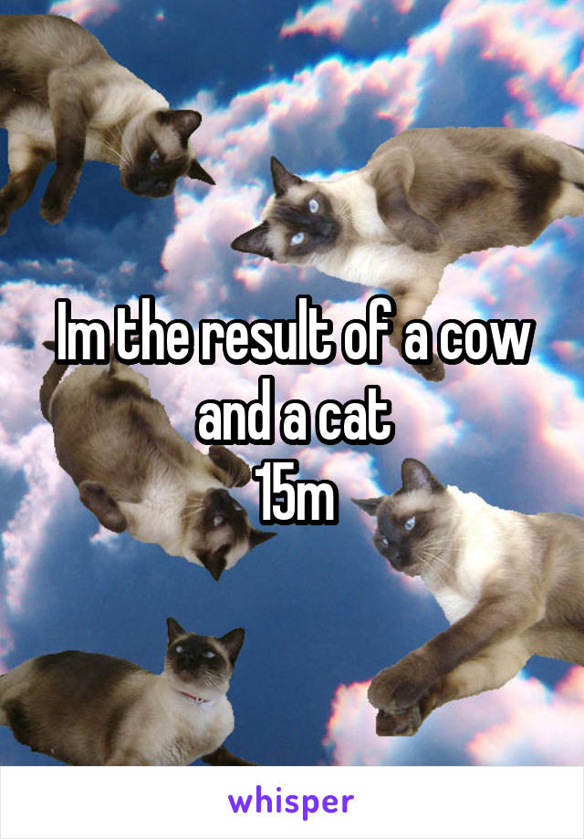 Im the result of a cow and a cat
15m