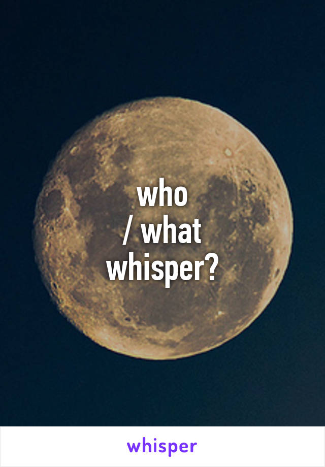 who
/ what
whisper?