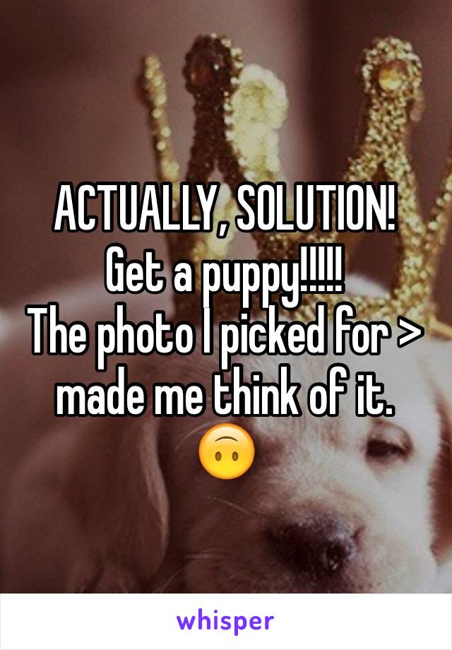 ACTUALLY, SOLUTION! 
Get a puppy!!!!! 
The photo I picked for > made me think of it. 
🙃