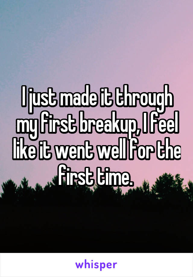 I just made it through my first breakup, I feel like it went well for the first time. 