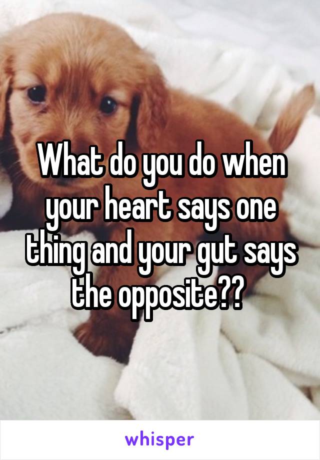 What do you do when your heart says one thing and your gut says the opposite?? 