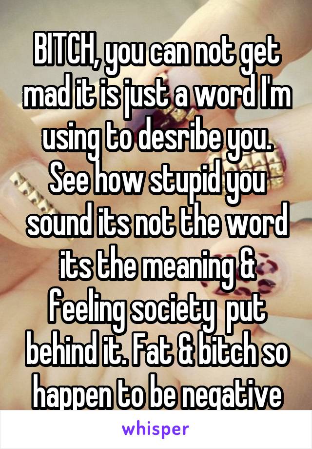 BITCH, you can not get mad it is just a word I'm using to desribe you. See how stupid you sound its not the word its the meaning & feeling society  put behind it. Fat & bitch so happen to be negative