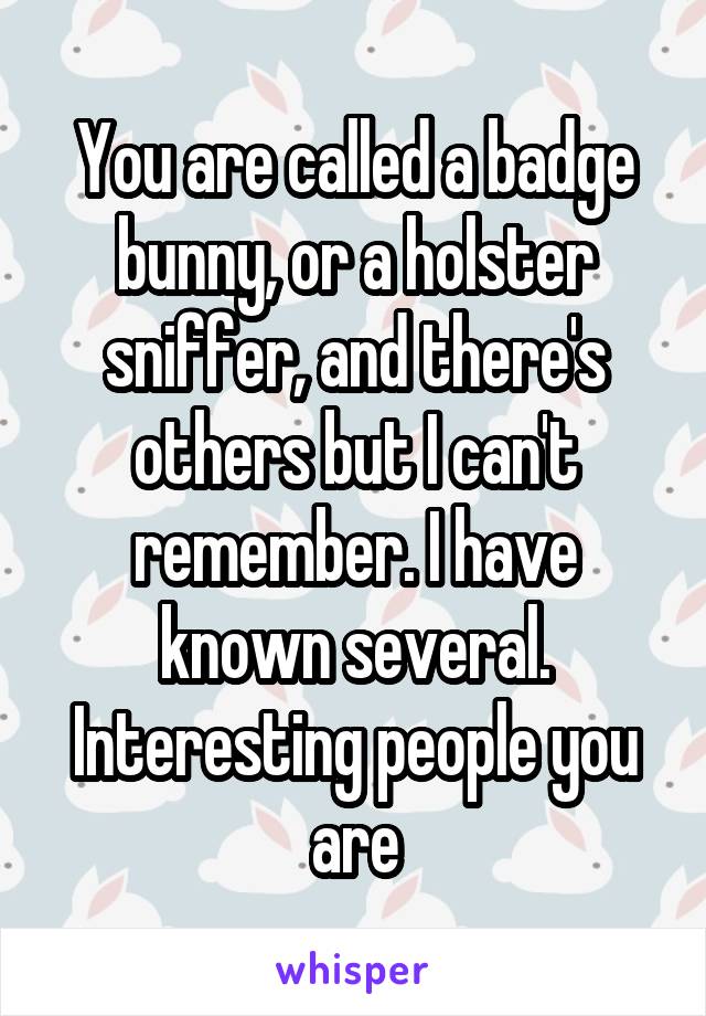 You are called a badge bunny, or a holster sniffer, and there's others but I can't remember. I have known several. Interesting people you are