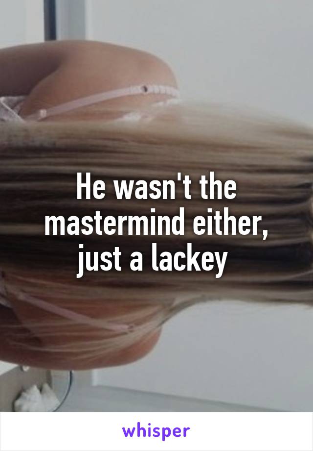 He wasn't the mastermind either, just a lackey 