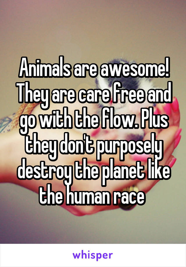 Animals are awesome! They are care free and go with the flow. Plus they don't purposely destroy the planet like the human race 