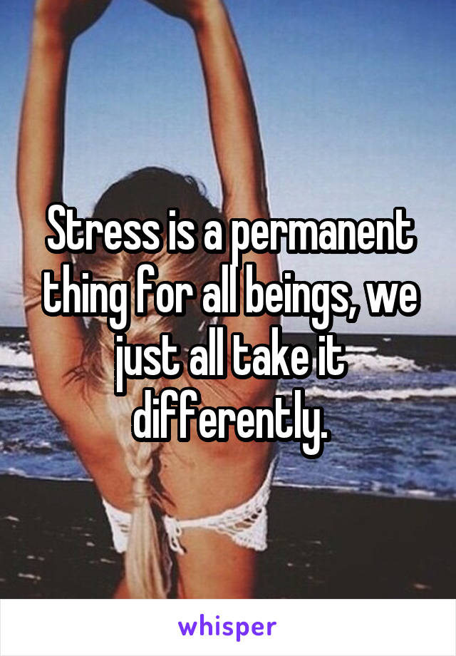 Stress is a permanent thing for all beings, we just all take it differently.