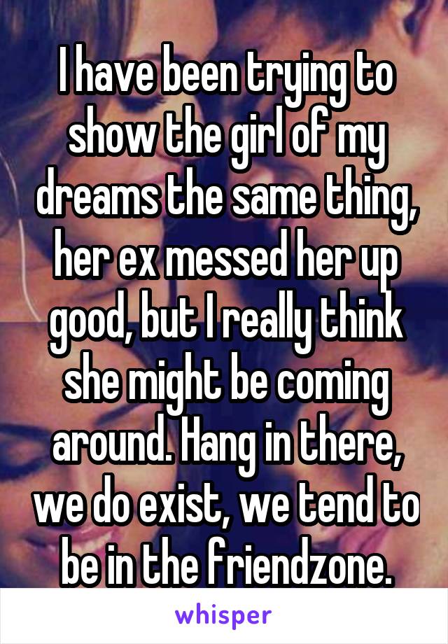 I have been trying to show the girl of my dreams the same thing, her ex messed her up good, but I really think she might be coming around. Hang in there, we do exist, we tend to be in the friendzone.