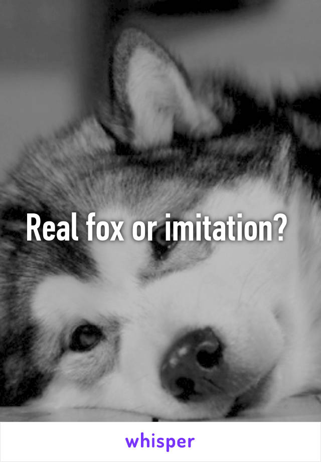 Real fox or imitation? 