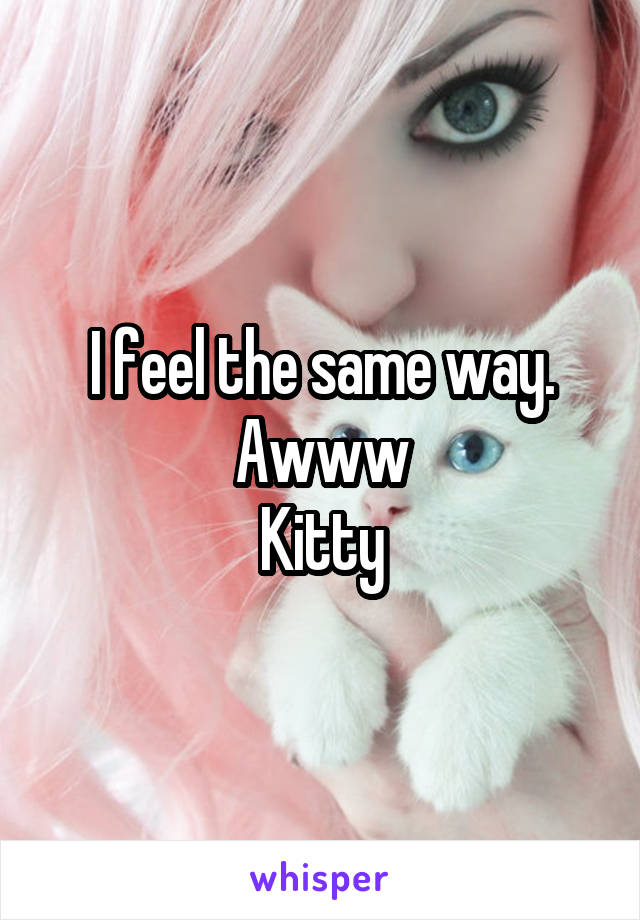 I feel the same way.
Awww
Kitty