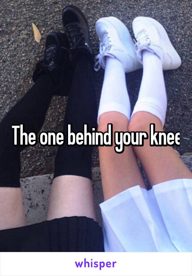 The one behind your knee
