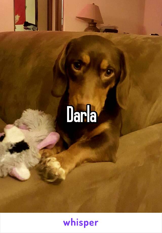 Darla