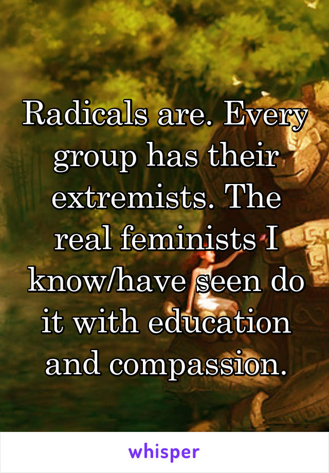 Radicals are. Every group has their extremists. The real feminists I know/have seen do it with education and compassion.