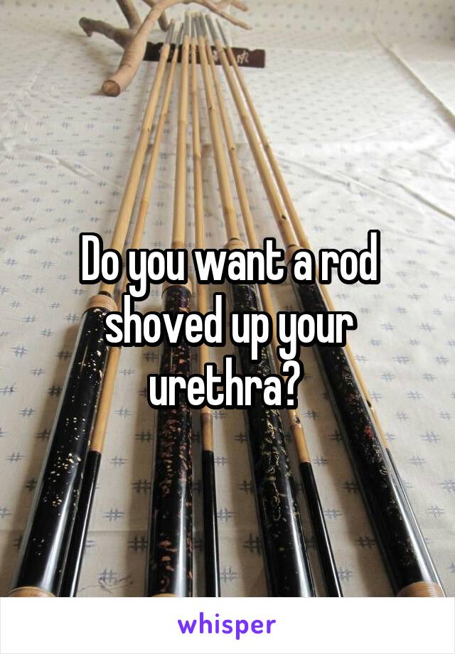 Do you want a rod shoved up your urethra? 