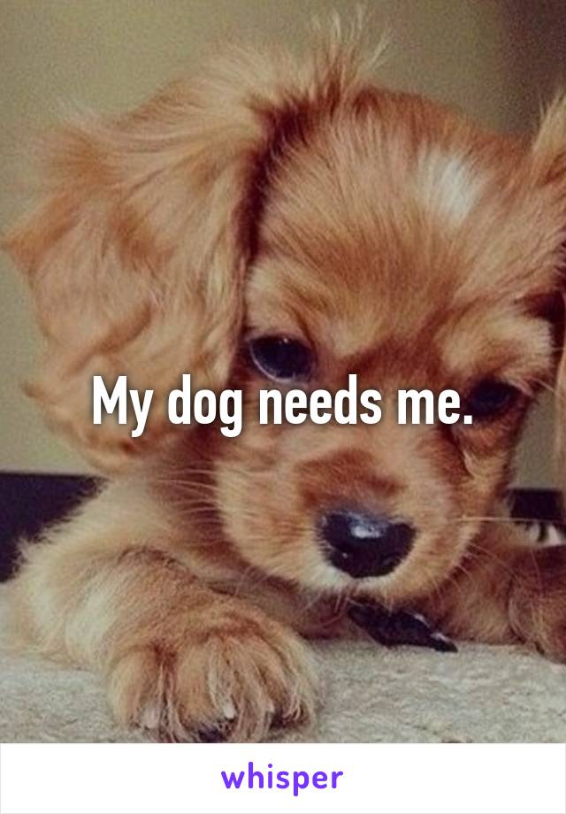 My dog needs me.