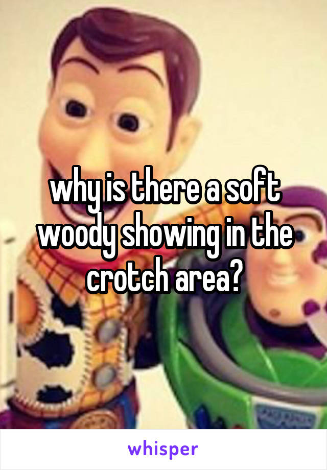 why is there a soft woody showing in the crotch area?