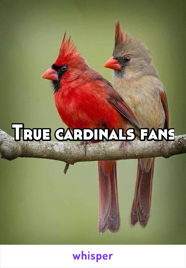 True cardinals fans