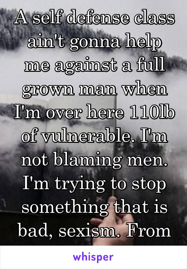 A self defense class ain't gonna help me against a full grown man when I'm over here 110lb of vulnerable. I'm not blaming men. I'm trying to stop something that is bad, sexism. From everyone.