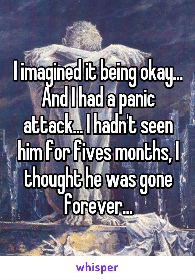 I imagined it being okay... And I had a panic attack... I hadn't seen him for fives months, I thought he was gone forever...