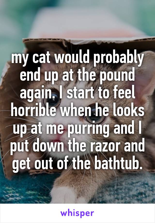 my cat would probably end up at the pound again. I start to feel horrible when he looks up at me purring and I put down the razor and get out of the bathtub.