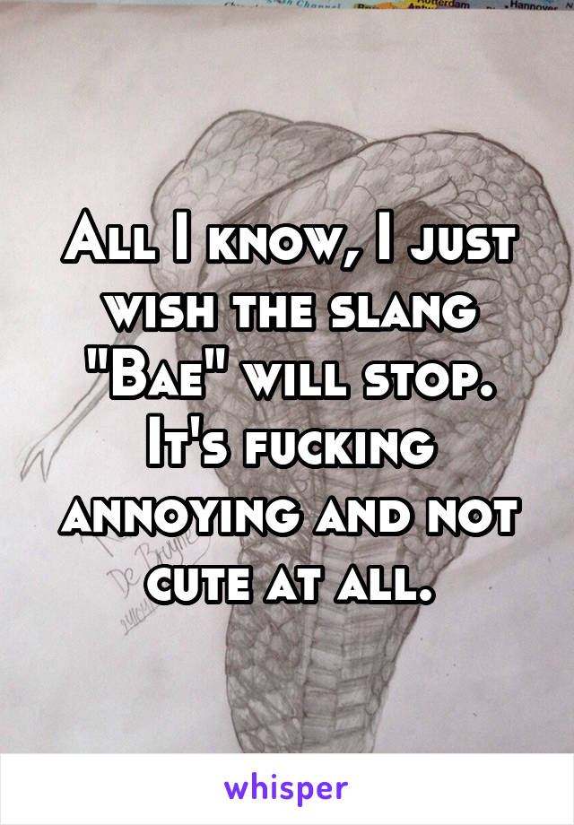 All I know, I just wish the slang "Bae" will stop. It's fucking annoying and not cute at all.