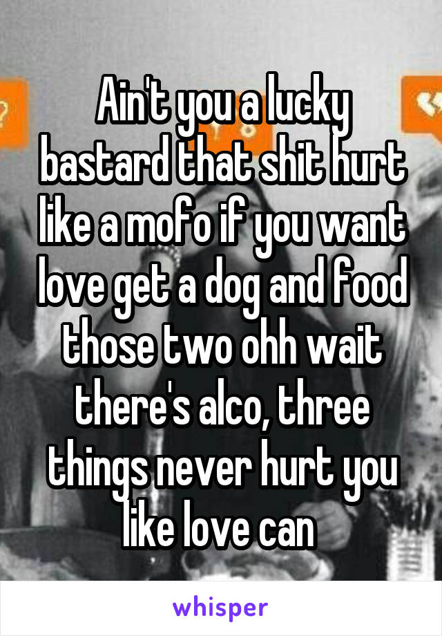 Ain't you a lucky bastard that shit hurt like a mofo if you want love get a dog and food those two ohh wait there's alco, three things never hurt you like love can 