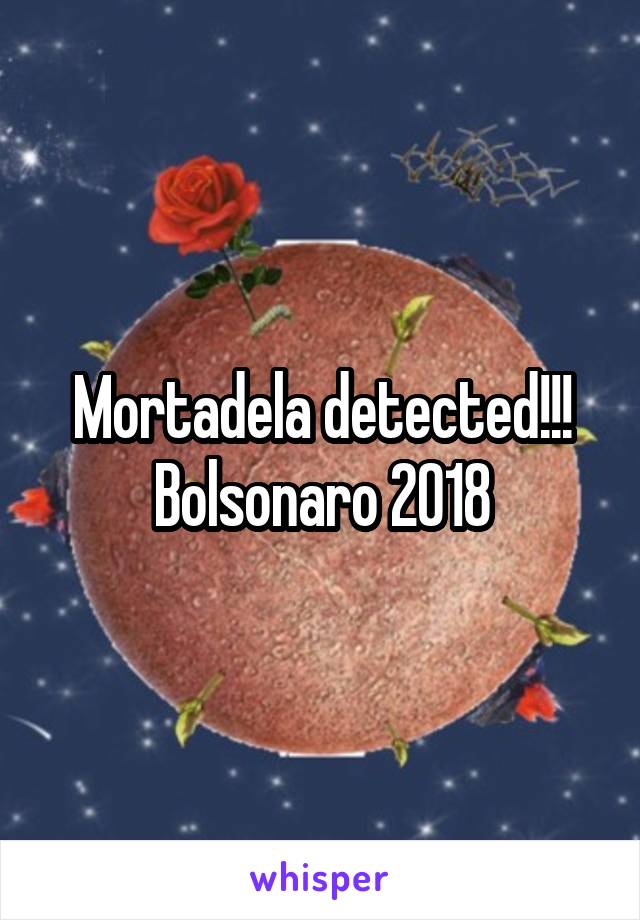 Mortadela detected!!!
Bolsonaro 2018