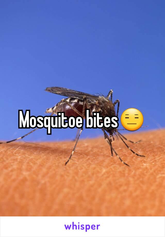 Mosquitoe bites😑