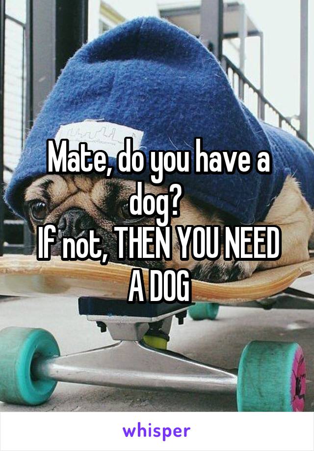 Mate, do you have a dog? 
If not, THEN YOU NEED A DOG