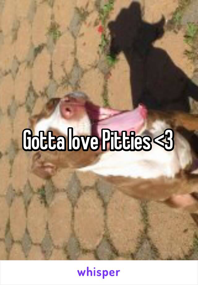 Gotta love Pitties <3 