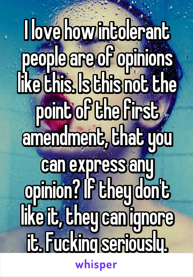 I love how intolerant people are of opinions like this. Is this not the point of the first amendment, that you can express any opinion? If they don't like it, they can ignore it. Fucking seriously.