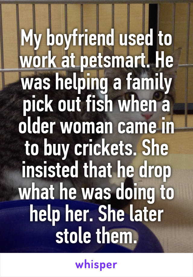 My boyfriend used to work at petsmart. He was helping a family pick out fish when a older woman came in to buy crickets. She insisted that he drop what he was doing to help her. She later stole them.