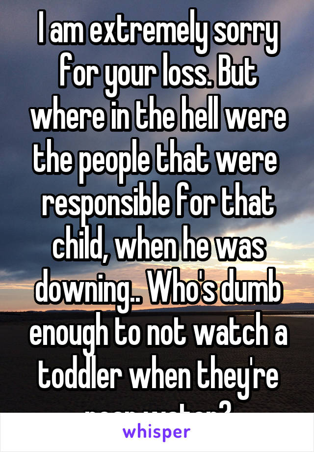 I am extremely sorry for your loss. But where in the hell were the people that were  responsible for that child, when he was downing.. Who's dumb enough to not watch a toddler when they're near water?