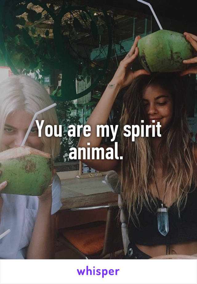 You are my spirit animal. 