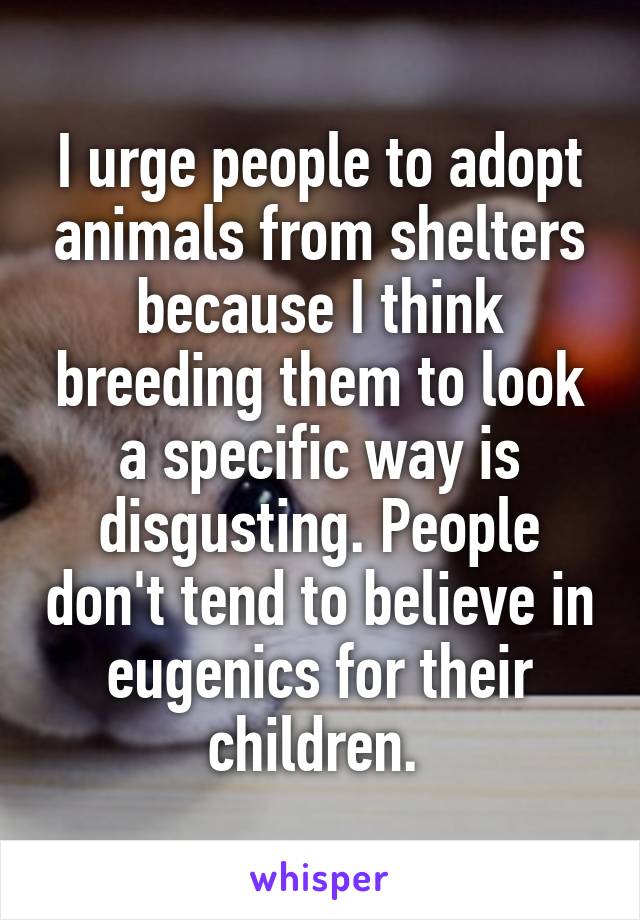 I urge people to adopt animals from shelters because I think breeding them to look a specific way is disgusting. People don't tend to believe in eugenics for their children. 