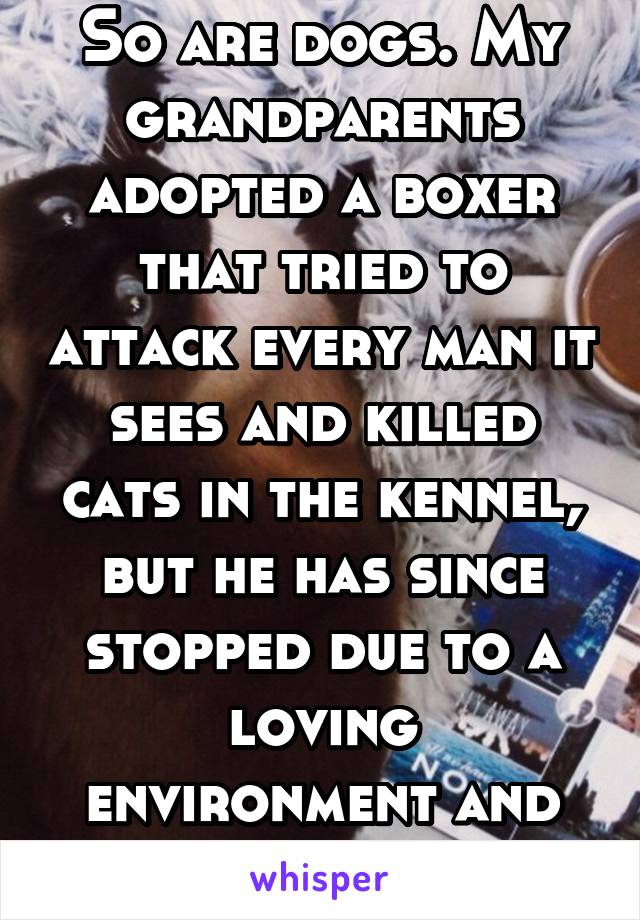 So are dogs. My grandparents adopted a boxer that tried to attack every man it sees and killed cats in the kennel, but he has since stopped due to a loving environment and time