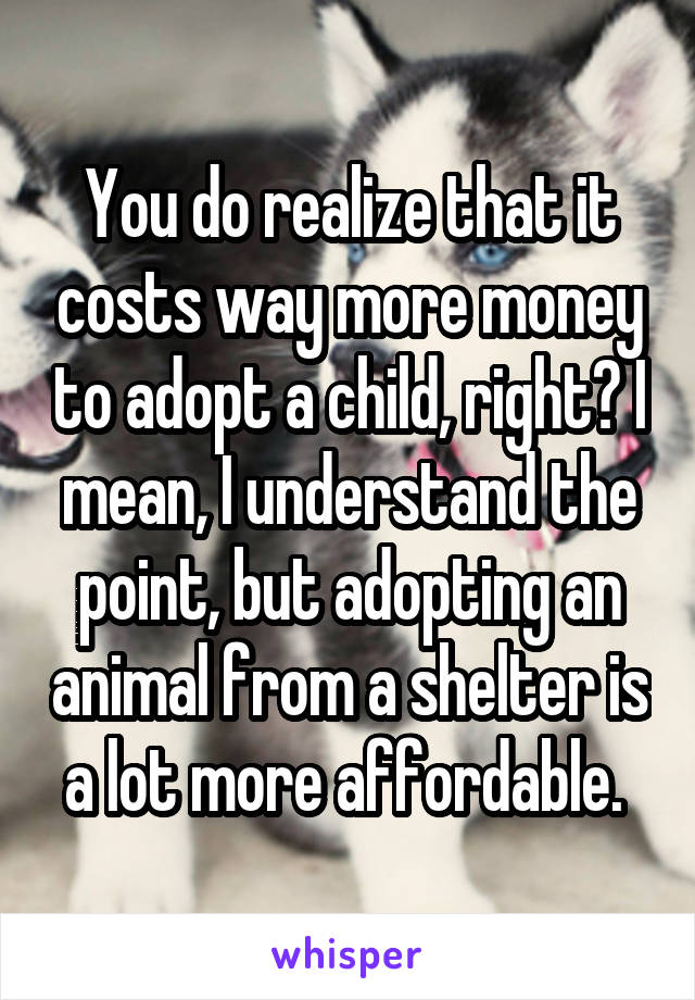 You do realize that it costs way more money to adopt a child, right? I mean, I understand the point, but adopting an animal from a shelter is a lot more affordable. 