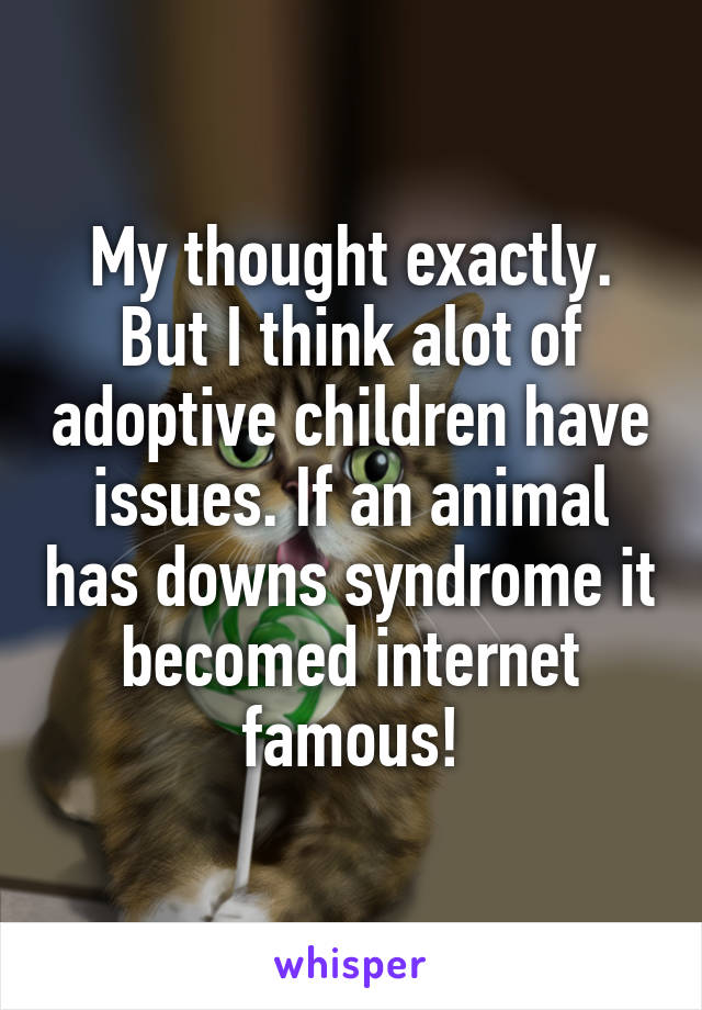 My thought exactly.
But I think alot of adoptive children have issues. If an animal has downs syndrome it becomed internet famous!