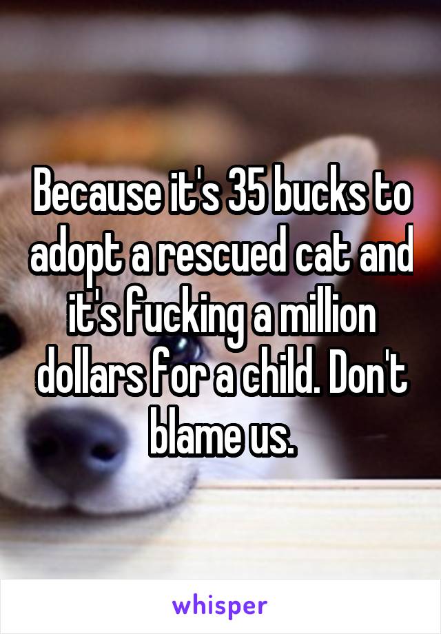 Because it's 35 bucks to adopt a rescued cat and it's fucking a million dollars for a child. Don't blame us.