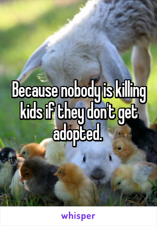 Because nobody is killing kids if they don't get adopted. 