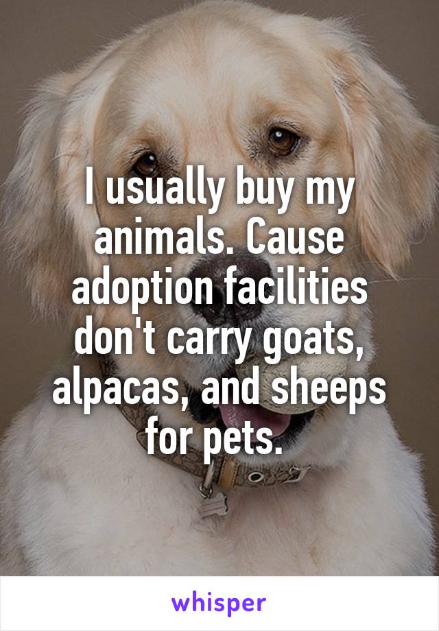 I usually buy my animals. Cause adoption facilities don't carry goats, alpacas, and sheeps for pets. 