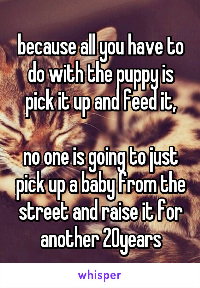 because all you have to do with the puppy is pick it up and feed it,

no one is going to just pick up a baby from the street and raise it for another 20years