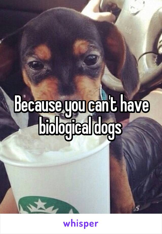 Because you can't have biological dogs 