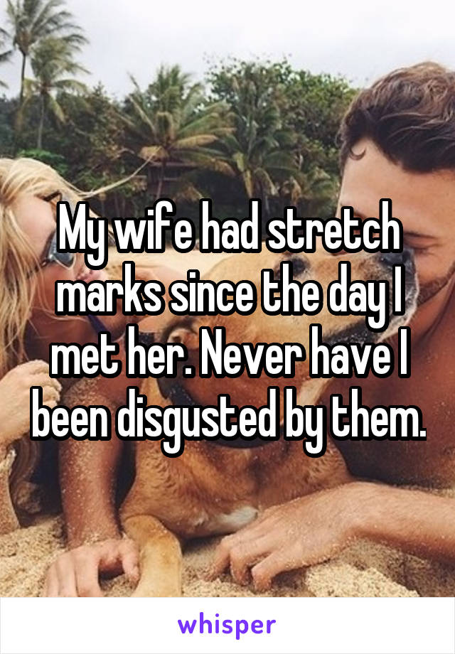 My wife had stretch marks since the day I met her. Never have I been disgusted by them.