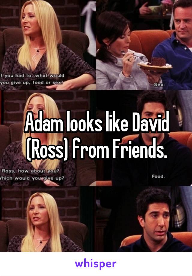 Adam looks like David (Ross) from Friends.