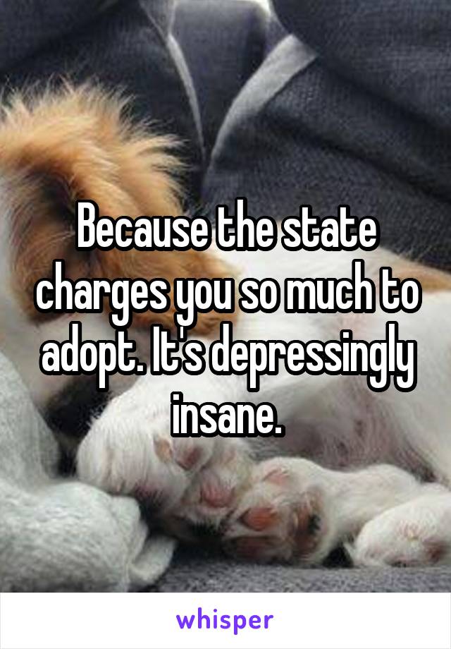 Because the state charges you so much to adopt. It's depressingly insane.