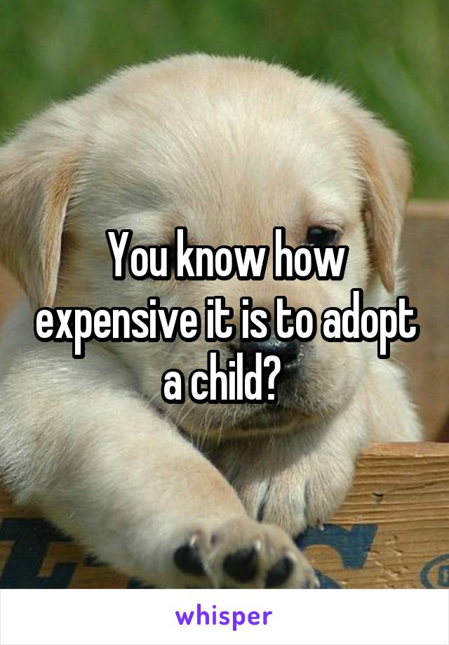 You know how expensive it is to adopt a child? 