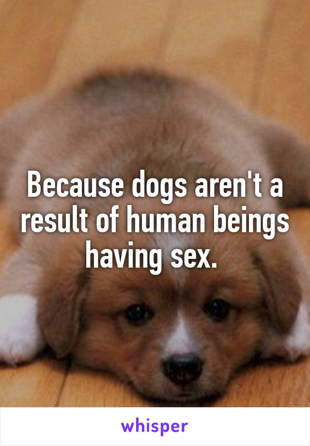 Because dogs aren't a result of human beings having sex. 